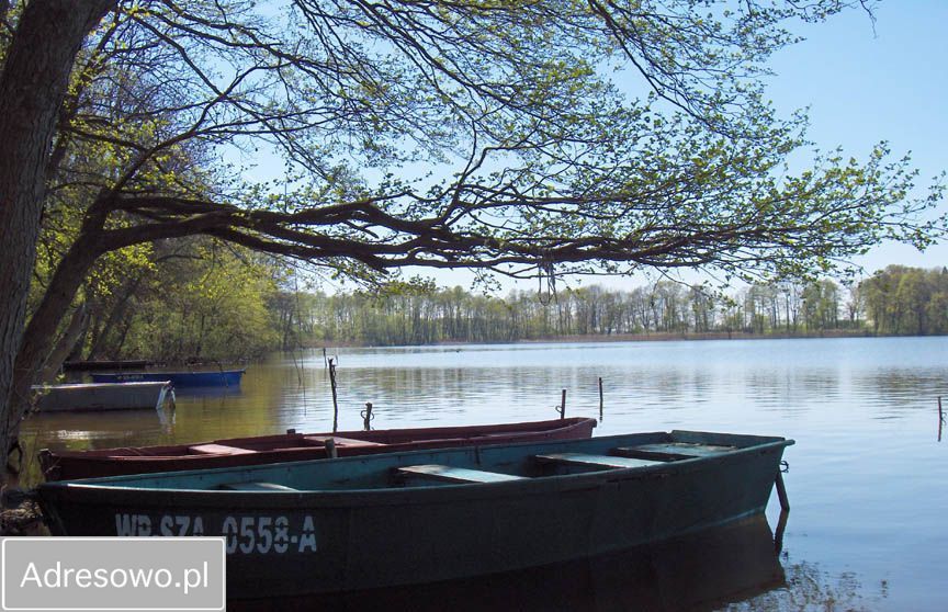 Działka rolna Chrzypsko Małe. Zdjęcie 12