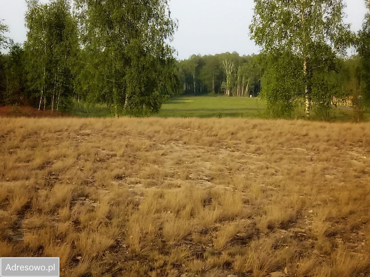 Działka budowlana Warszawa Śródmieście, ul. Wojdyńska. Zdjęcie 4