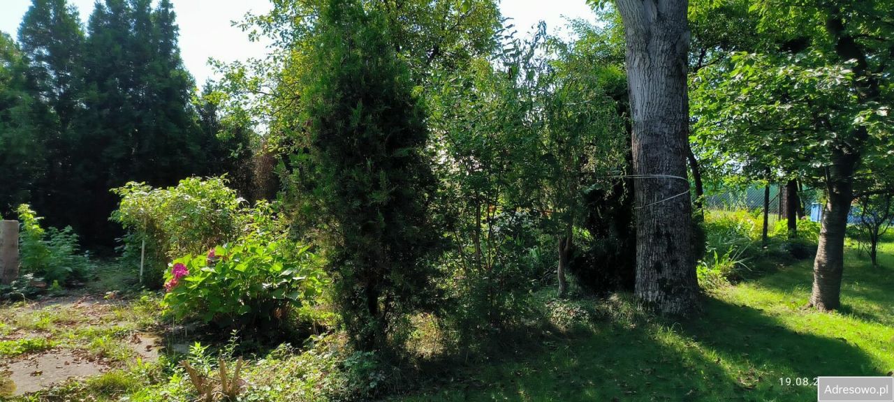 Działka rod Gliwice Wójtowa Wieś, ul. Ku Dołom. Zdjęcie 8