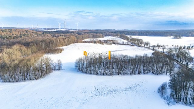 Działka rolna Mierzyno. Zdjęcie 8
