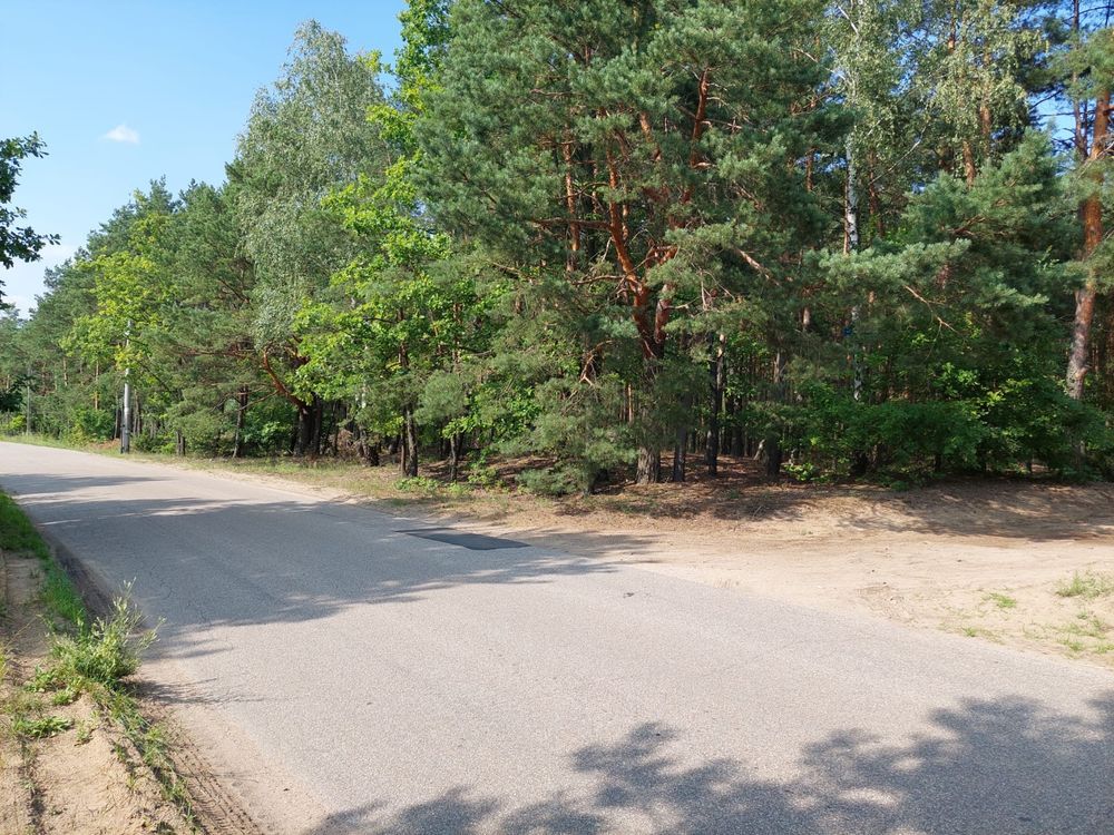Działka Wysychy. Zdjęcie 2