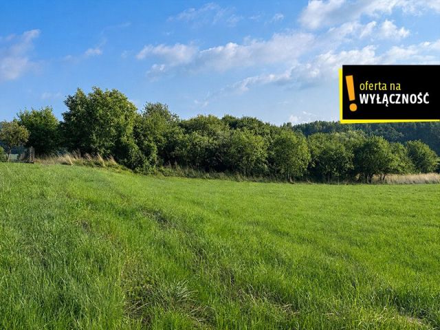 dom wolnostojący, 6 pokoi Czernica, ul. Oborska. Zdjęcie 29