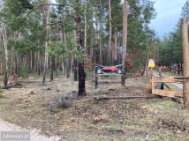 Działka leśna Karolinów. Zdjęcie 2