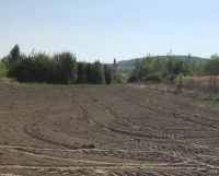 Działka budowlana Księginice Małe, ul. Zbożowa. Zdjęcie 4