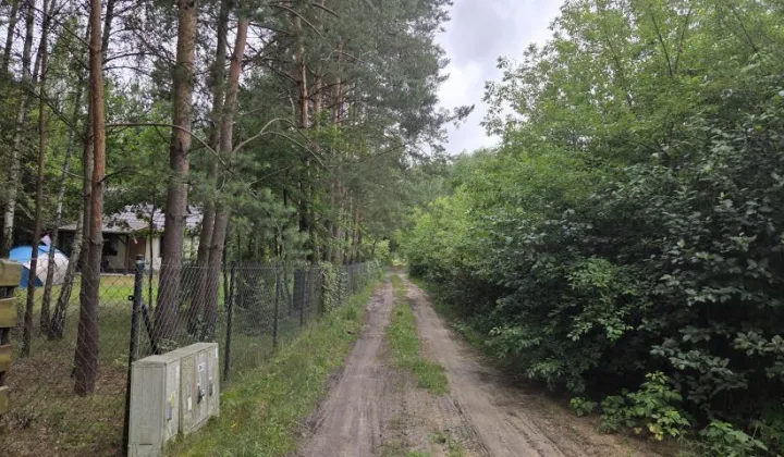 Działka leśna Królewo