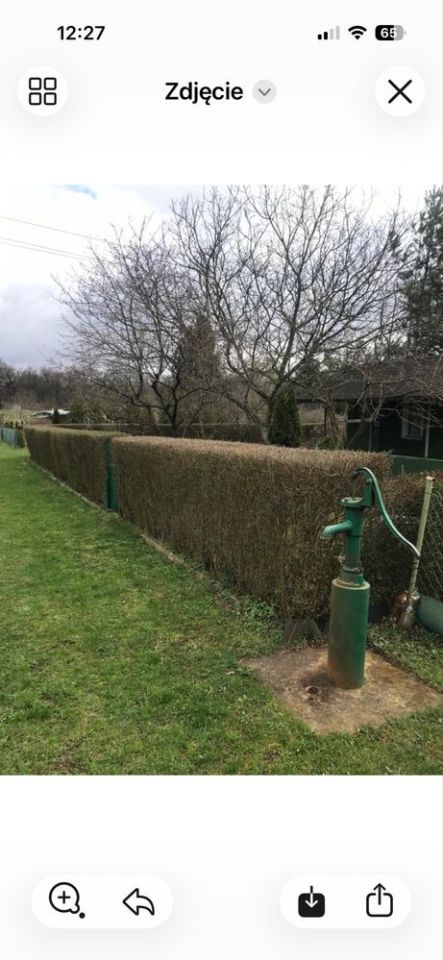 Działka rod Wrocław Sołtysowice. Zdjęcie 4