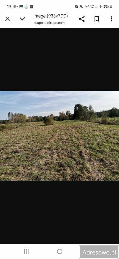 Działka rolno-budowlana Nowy Wilków. Zdjęcie 3