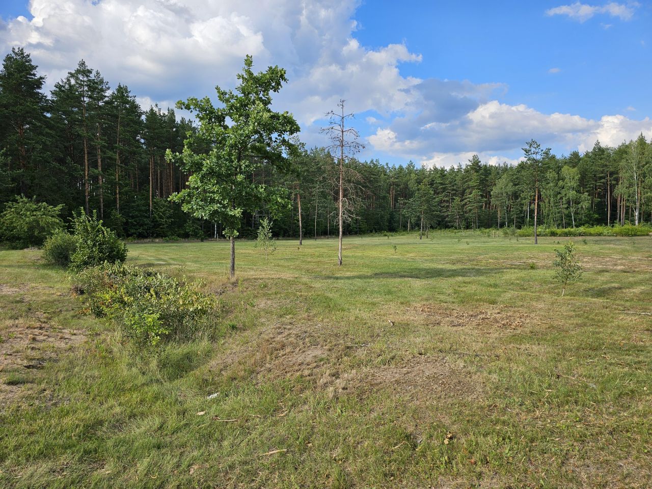 Działka budowlana Spychowo, ul. Rzeczna. Zdjęcie 3