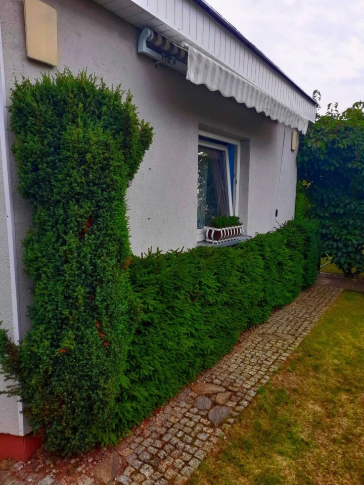 Działka rod Poznań Chartowo, ul. Silniki. Zdjęcie 5