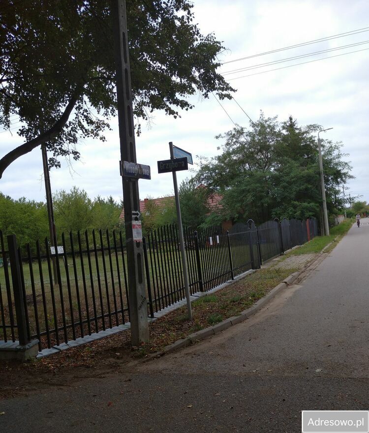 Działka budowlana Rozalin, ul. Winogronowa. Zdjęcie 2