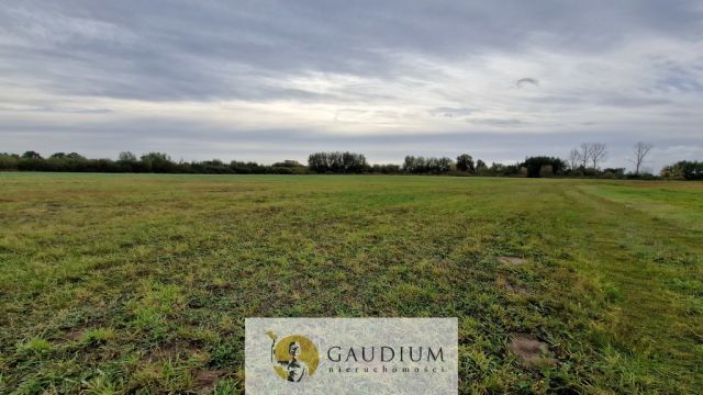 Działka budowlana Drewnica. Zdjęcie 12