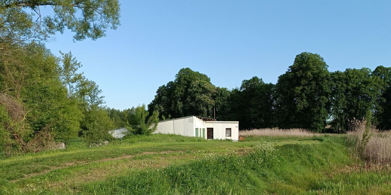 Działka rolno-budowlana Solistówka. Zdjęcie 7