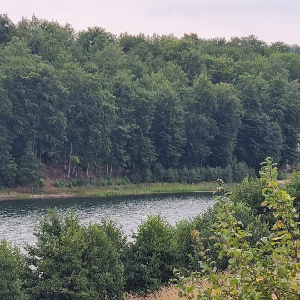 Działka na sprzedaż bez pośredników 
 
 ul. Kamionki 
 
 Grabówko Kamionka - Widok 3