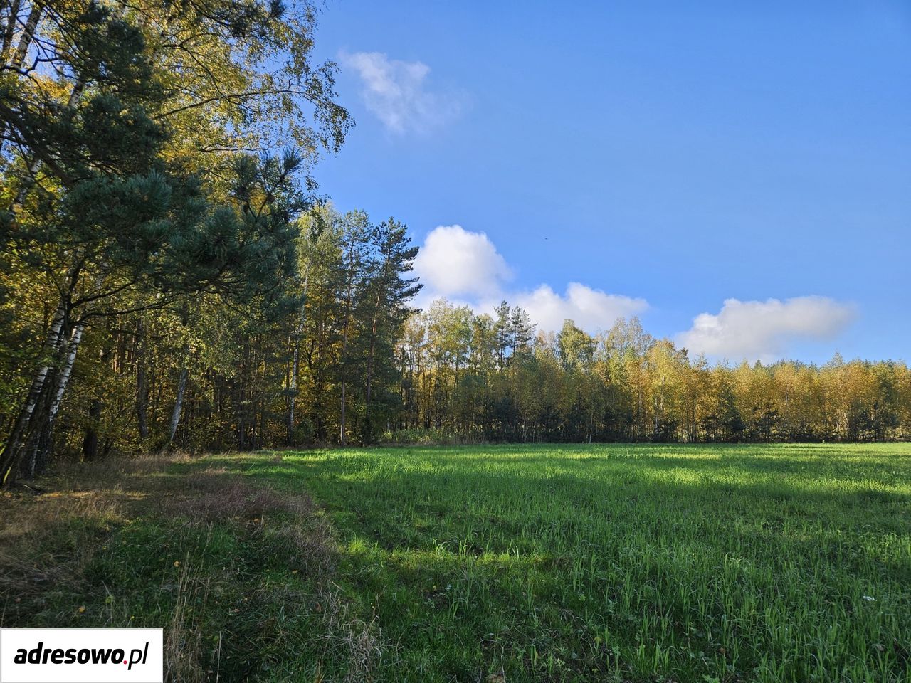 Działka budowlana Pomigacze, ul. Kwiatowa. Zdjęcie 19