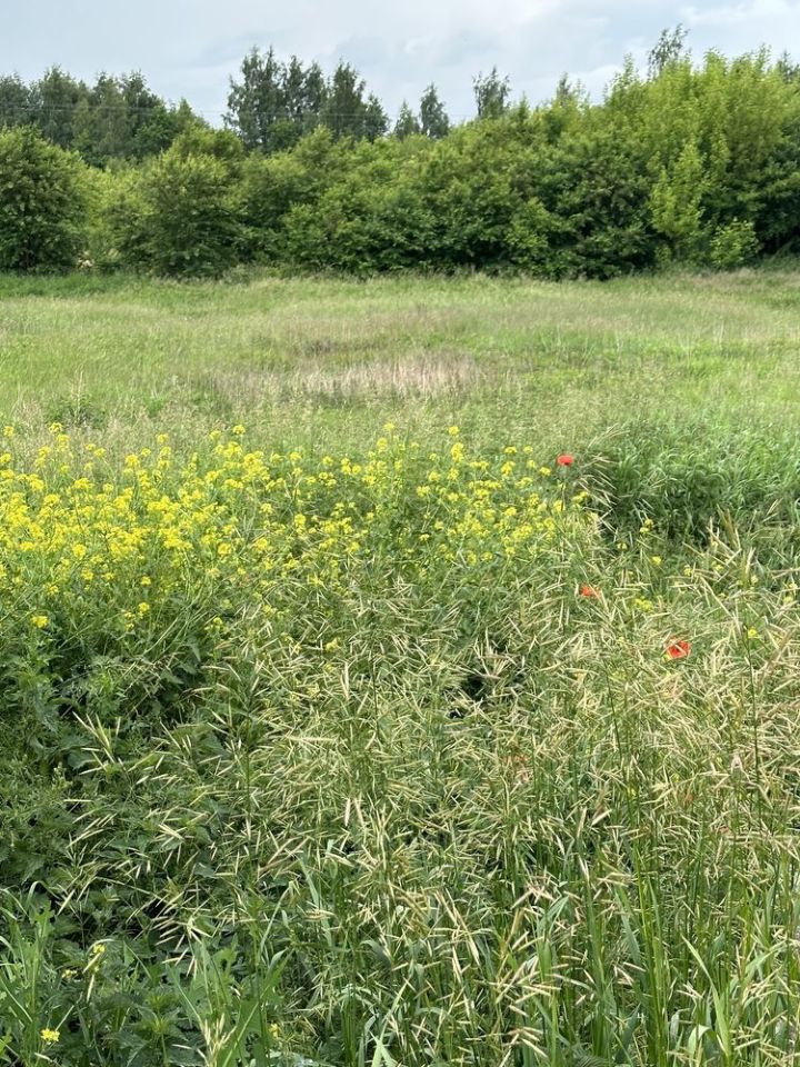 Działka rolno-budowlana Łódź Chojny, ul. Bałtycka