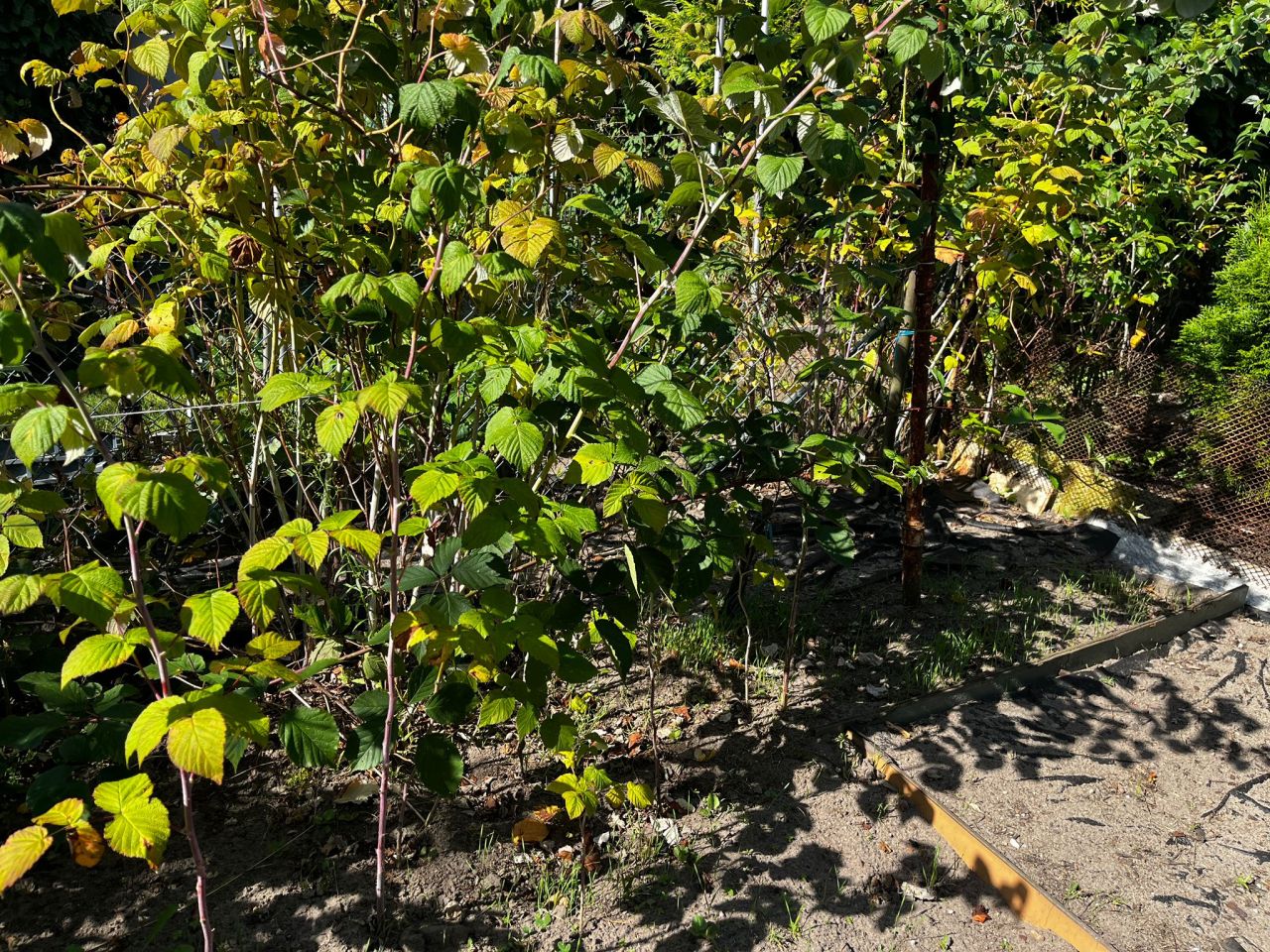 Działka rod Poznań Krzesiny, ul. Jarosławska. Zdjęcie 10