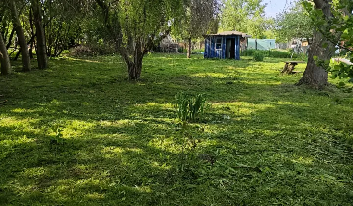 Działka rod Lublin Podzamcze, ul. Podzamcze