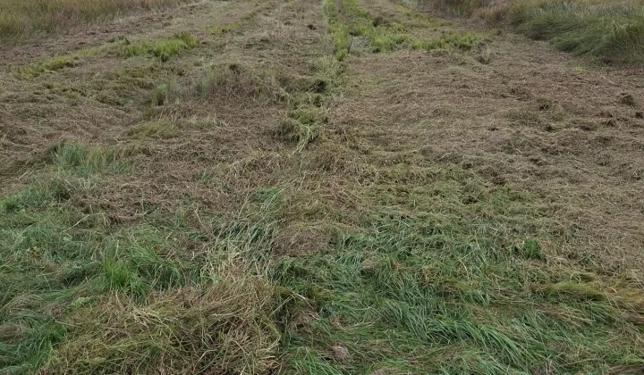 Działka rolna Mąkosy Stare