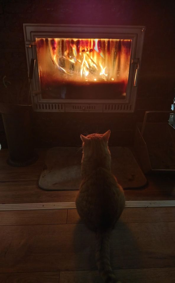 dom wolnostojący, 5 pokoi Sosnowice, ul. Krakowska. Zdjęcie 13