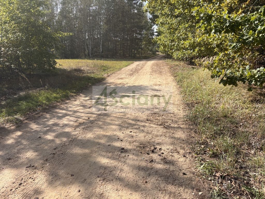 Działka budowlana Dębina. Zdjęcie 7