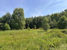 Działka rolna Trzebule. Zdjęcie 1