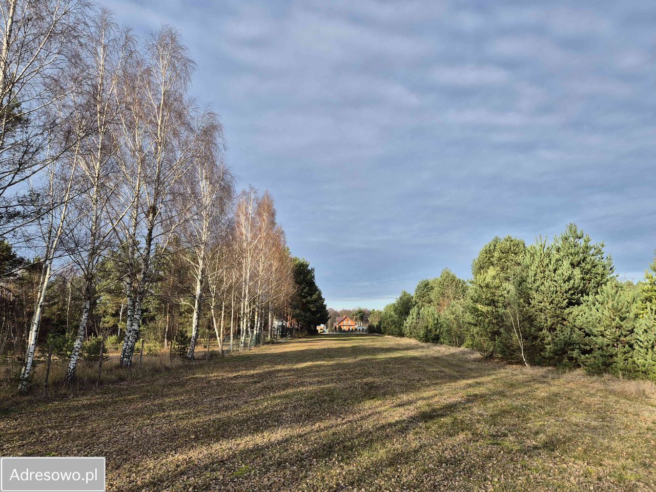 Działka rekreacyjna Biała Góra. Zdjęcie 7