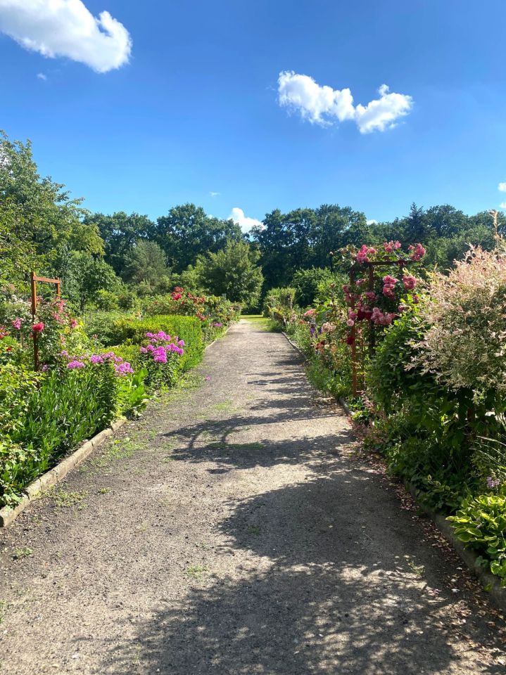 Działka rod Wrocław Biskupin. Zdjęcie 4