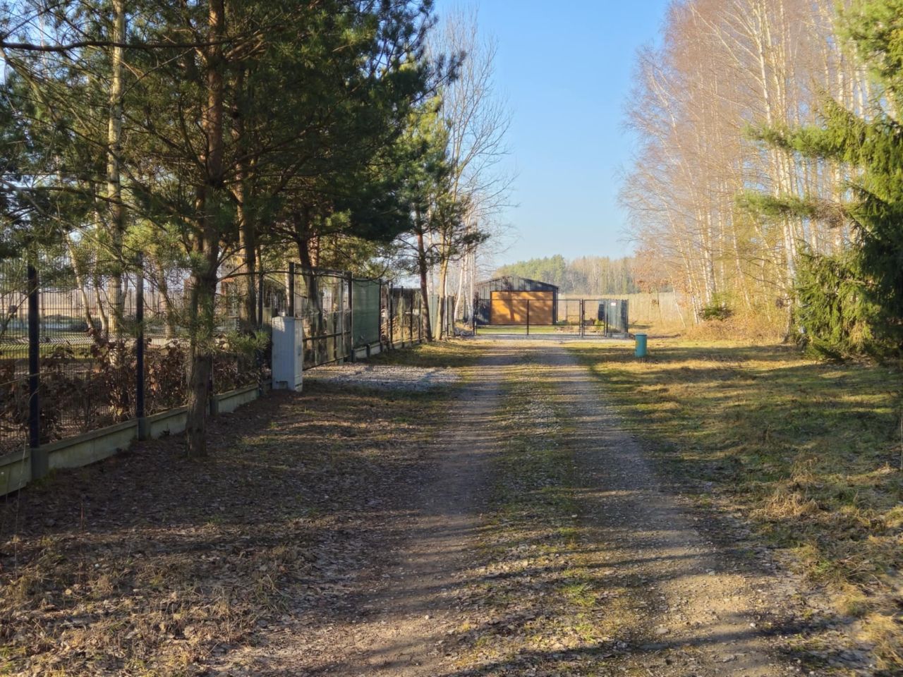 Działka budowlana Cychry. Zdjęcie 4