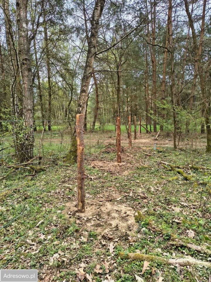 Działka budowlana Binowo. Zdjęcie 3