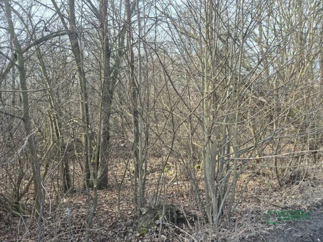 Działka budowlana Kaniów, ul. Stefana Kóski. Zdjęcie 3