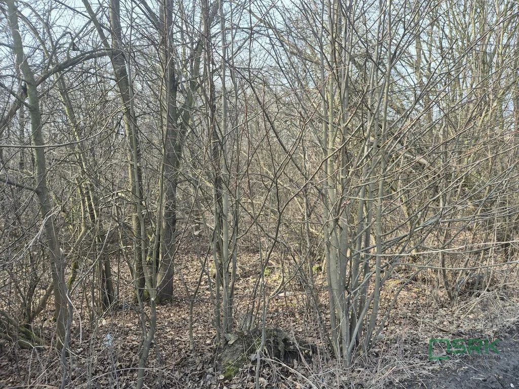 Działka budowlana Kaniów, ul. Stefana Kóski. Zdjęcie 3