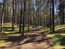 Działka budowlana Lubiatowo, ul. Rekreacyjna. Zdjęcie 1