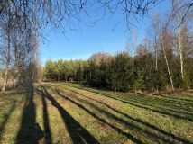 Działka rolno-budowlana Gaśno. Zdjęcie 4