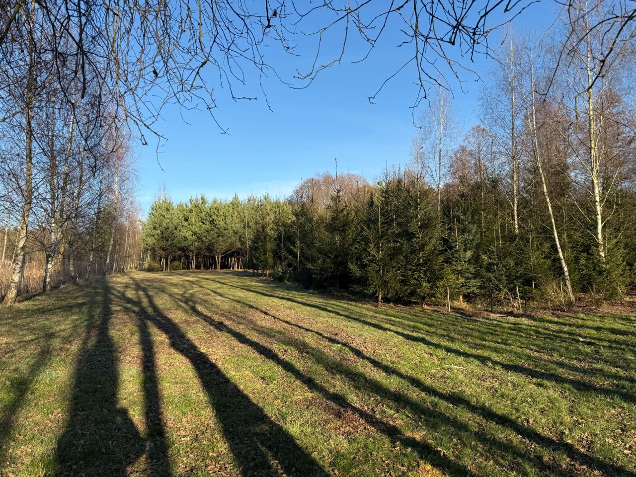 Działka rolno-budowlana Gaśno. Zdjęcie 5