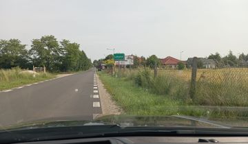 Działka budowlana Lutynia, ul. Porzeczkowa
