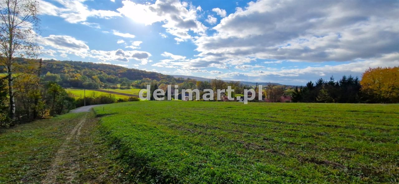Działka budowlana Srogów Dolny. Zdjęcie 8