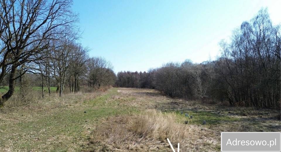 Działka rolna Kołowo. Zdjęcie 4