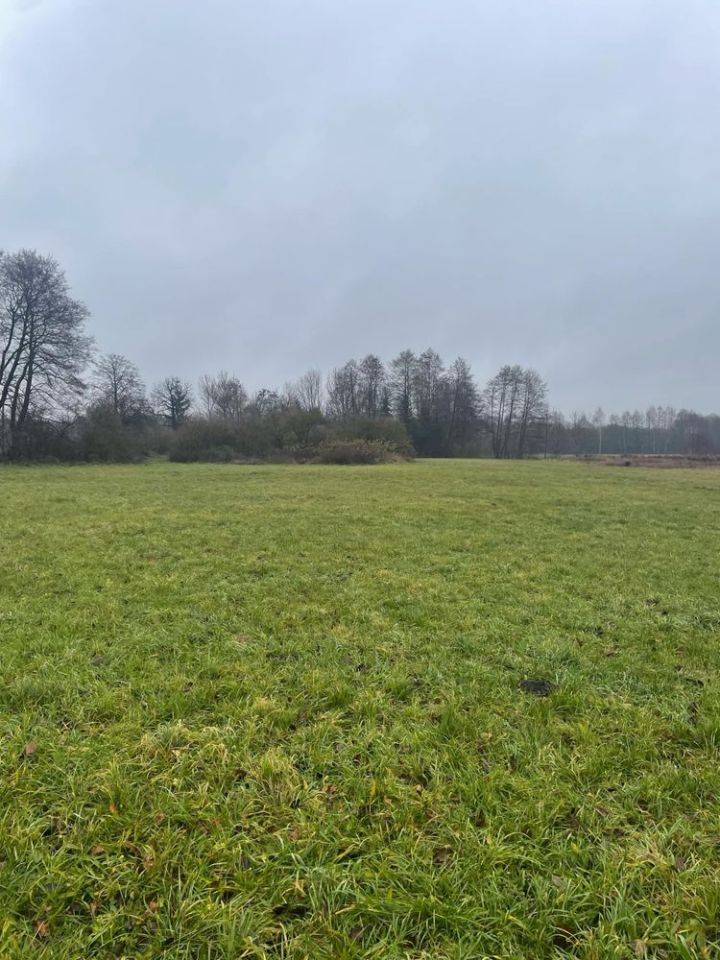 Działka budowlana Grodzisko. Zdjęcie 4