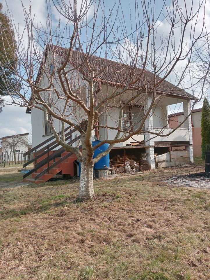 Działka rod Mszczonów, ul. Działkowa. Zdjęcie 19