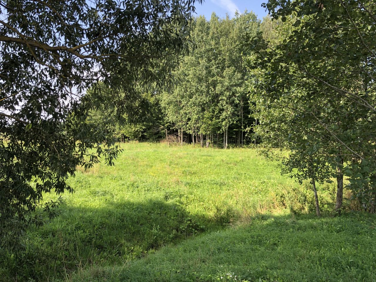 Działka siedliskowa Nowa Dębszczyzna Jemielistka Linia. Zdjęcie 15