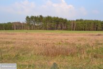 Działka siedliskowa Żeliszew Duży. Zdjęcie 1