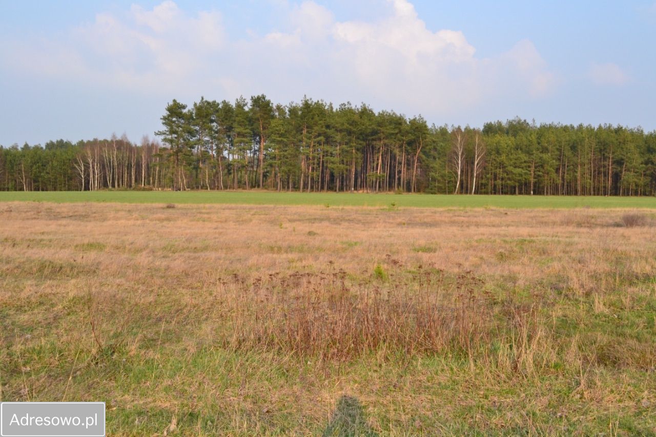 Działka siedliskowa Żeliszew Duży. Zdjęcie 2