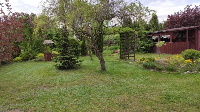 Działka rekreacyjna Rawa Mazowiecka, ul. Mszczonowska. Zdjęcie 1