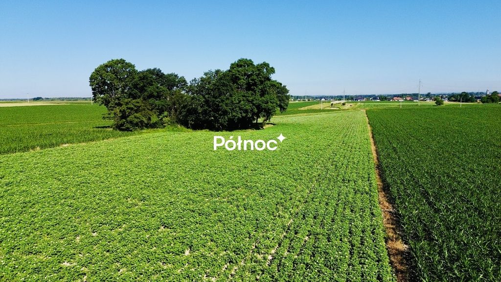 Działka rolna Chudów, ul. Szkolna. Zdjęcie 11
