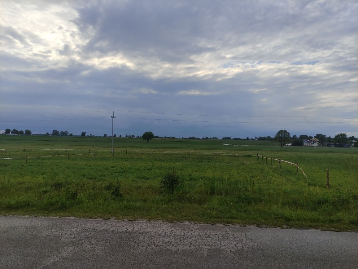 Działka budowlana Tęgobórz. Zdjęcie 4