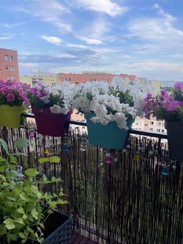 Mieszkanie 3-pokojowe Zabrze, ul. prof. Włodzimierza Zonna. Zdjęcie 1