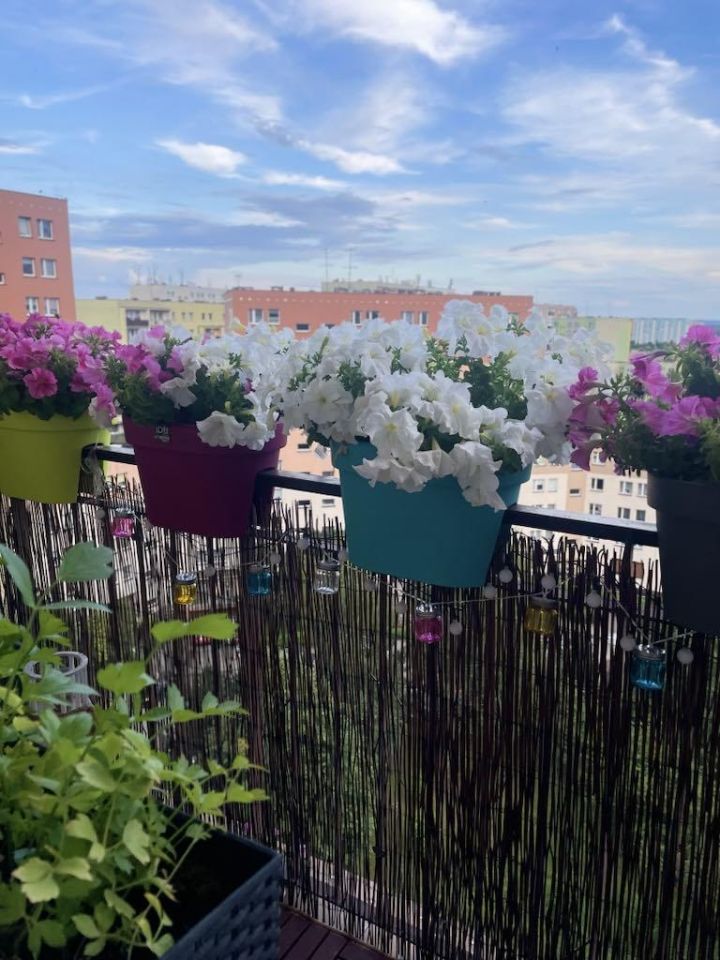 Mieszkanie 3-pokojowe Zabrze, ul. prof. Włodzimierza Zonna