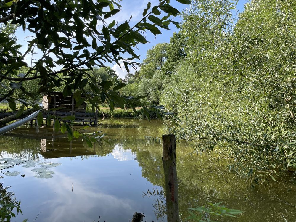 Działka rolna Opalenie, ul. Jabłoniowa. Zdjęcie 8