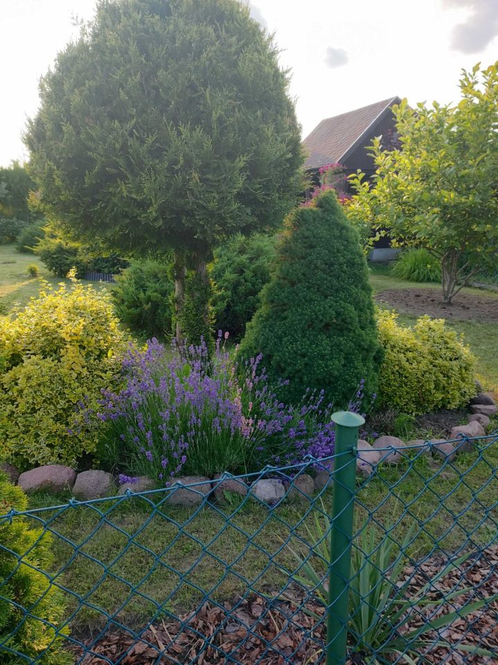 Działka rod Świdnik. Zdjęcie 3