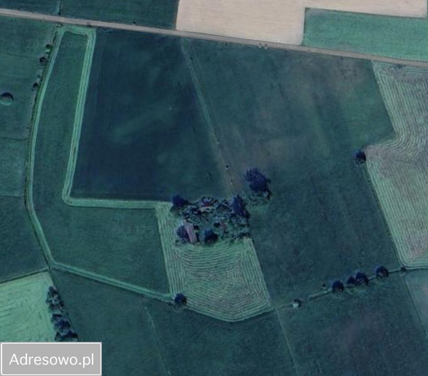 Działka siedliskowa Stegna. Zdjęcie 8